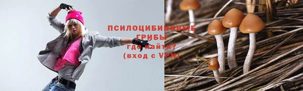 твердый Аркадак