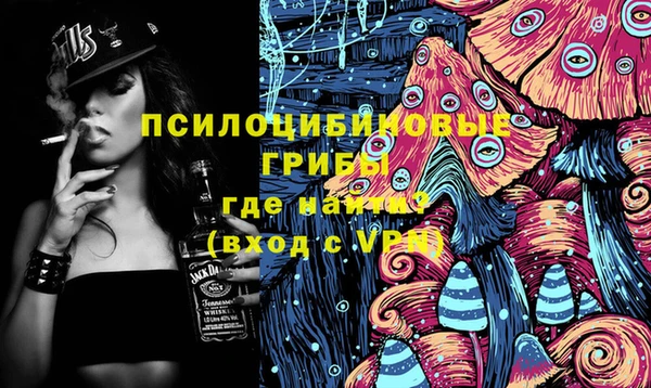 твердый Аркадак