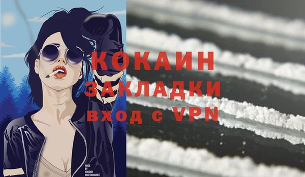 твердый Аркадак